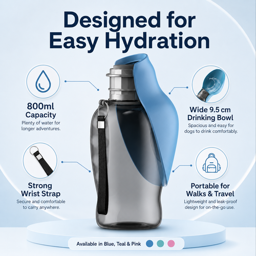 800ml Portable Pet Water Bottle for Dogs & Cats