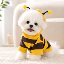 Bee Costume Hoodie for Dogs & Cats