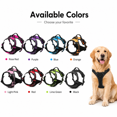 Dog Harness Set