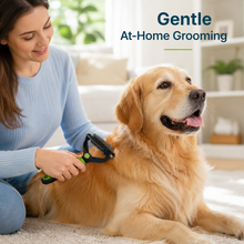 3-in-1 Pet Grooming & Deshedding Brush